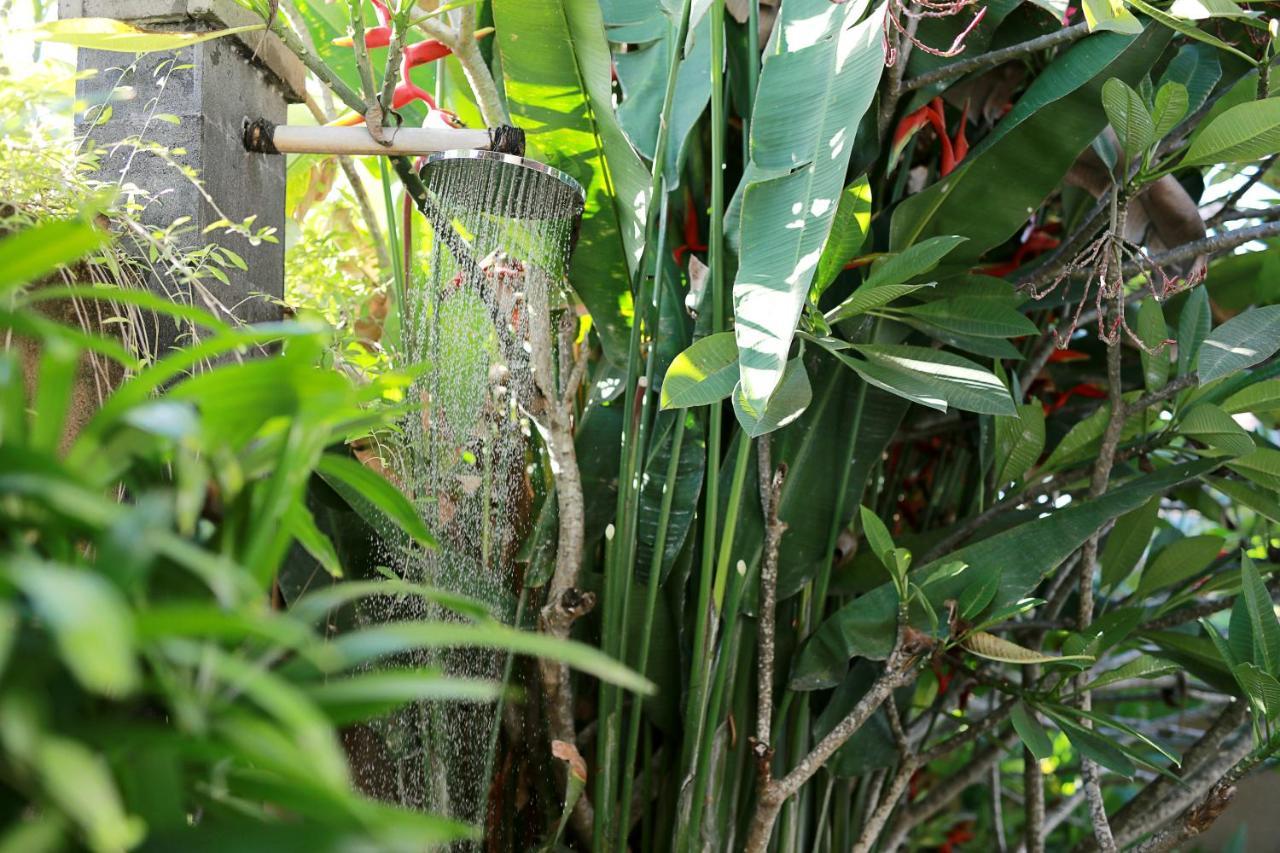 อูบุด นยูห์ บาหลี รีสอร์ต แอนด์ สปา Hotel ภายนอก รูปภาพ Banana plants